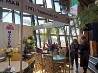 XI Международная выставка мебели в Крыму «МВМК»
